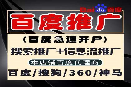 百度竞价排名服务的广告投放技巧与策略